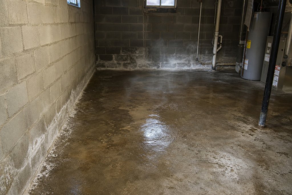 A basement with wet concrete floors, stained walls, and visible water damage. There is a water heater and exposed pipes in the background, with small windows letting in minimal light.